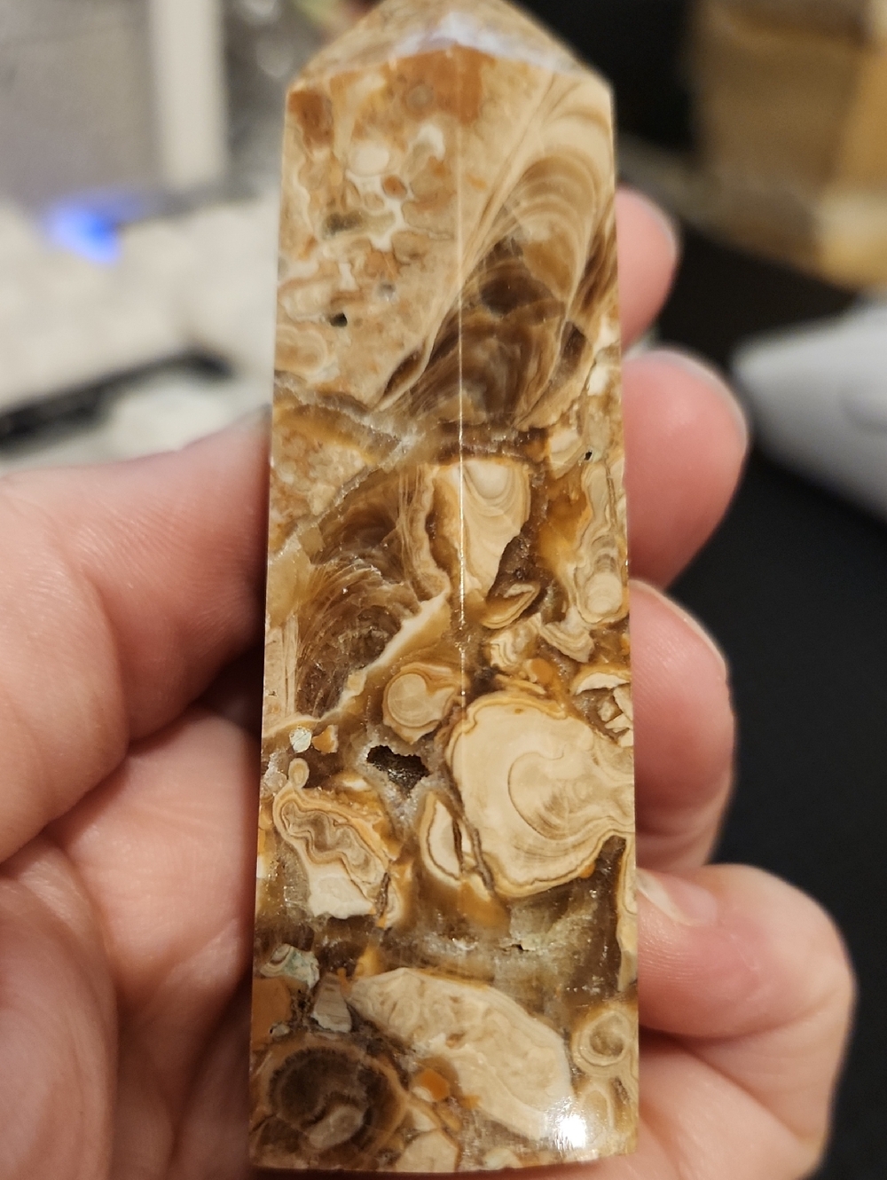 Fossiliferous Limestone/Calcite Point/Tower - Picture 11 of 11